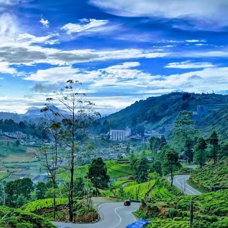 Luxe Wilderness - Private Villas, Free Breakfast, 2km from City Centre - 11