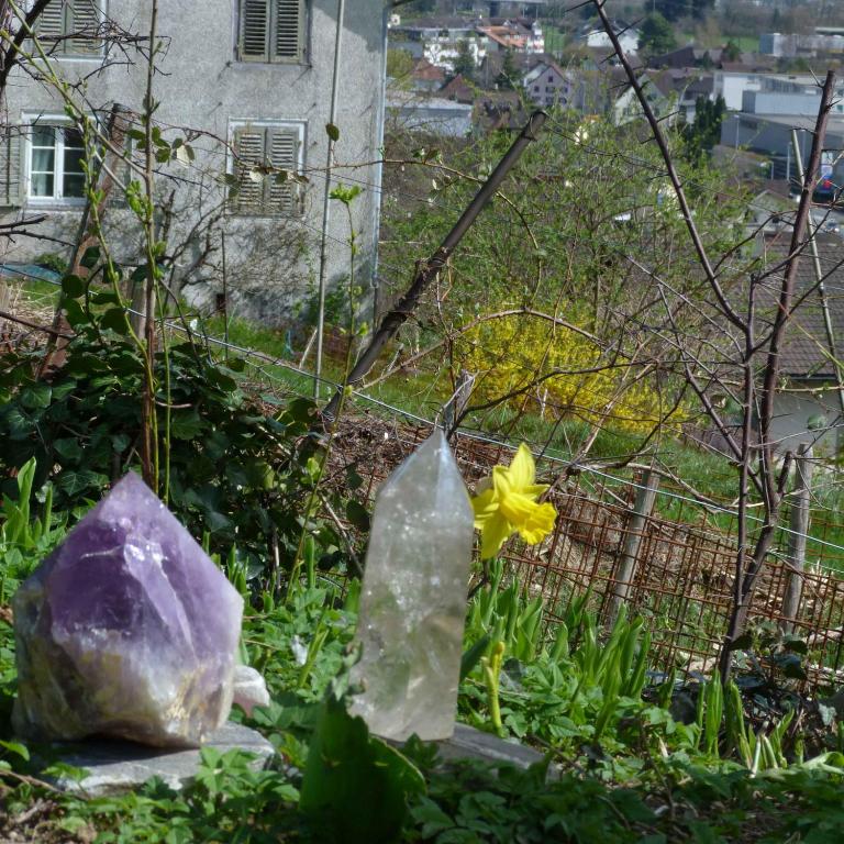 Zahrada ubytování BnB Goldberg