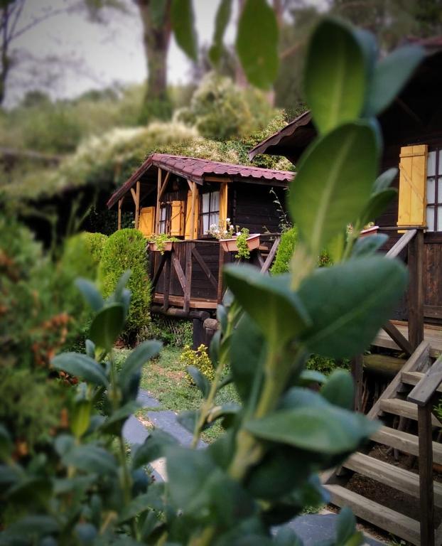 Jardín al aire libre en La Posada Cercedilla