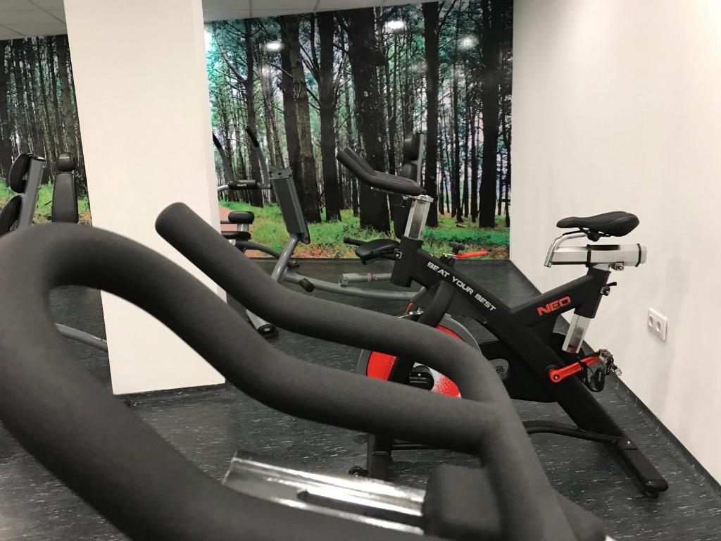 Fitness centrum a/nebo fitness zařízení v ubytování Spa Suites Odeón
