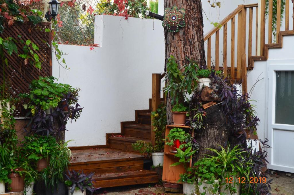 a stairway with plants and a tree at Hotel Uygar in Fethiye