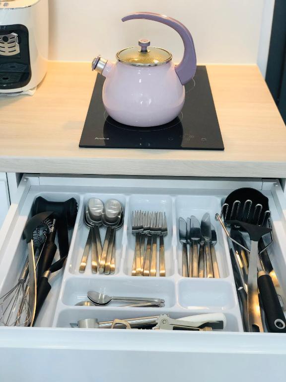 Kuchyň nebo kuchyňský kout v ubytování Apartament Pastelovy