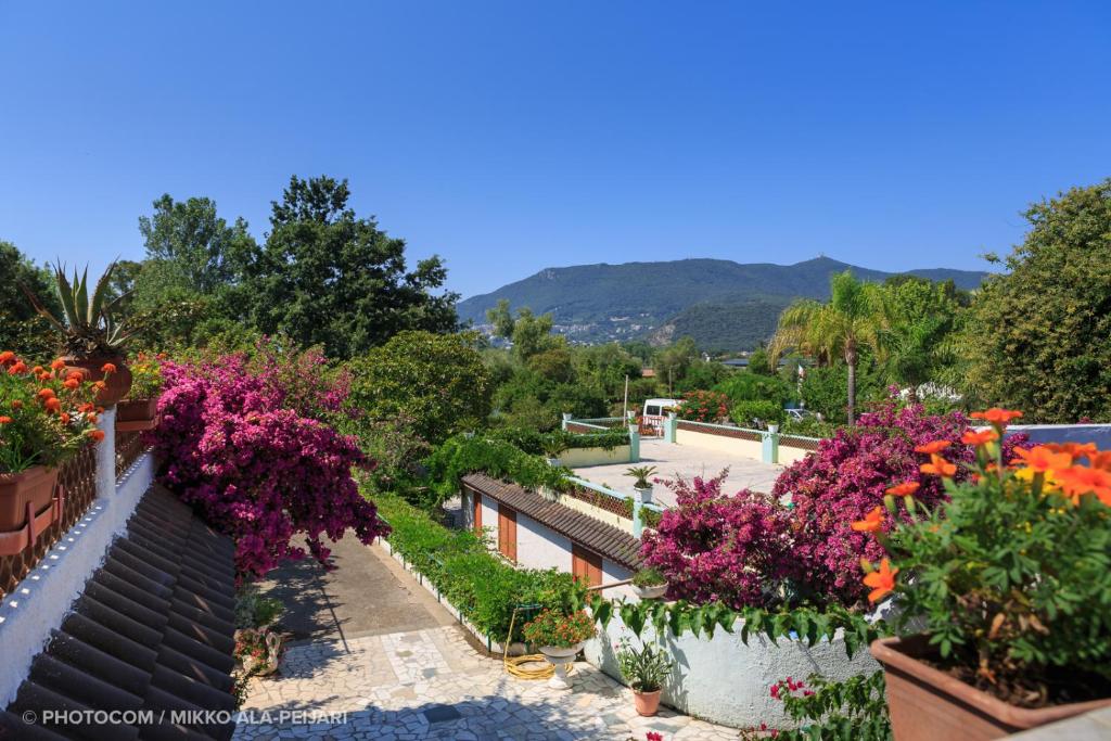 een uitzicht op een tuin met bloemen en planten bij Centro Ferie Salvatore in San Felice Circeo