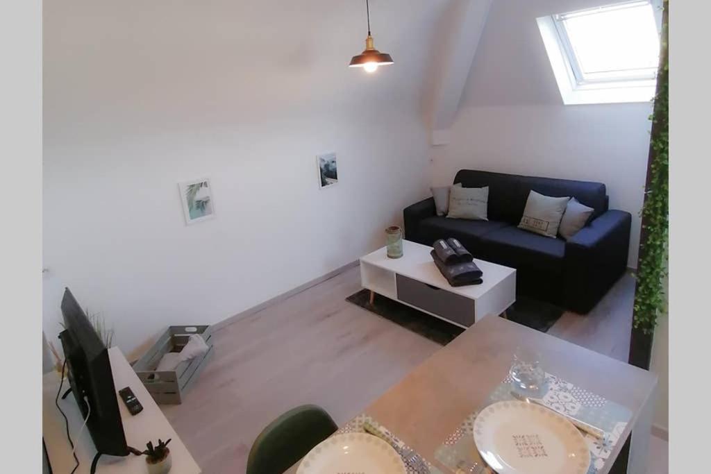 TV a/nebo společenská místnost v ubytování LE COSY