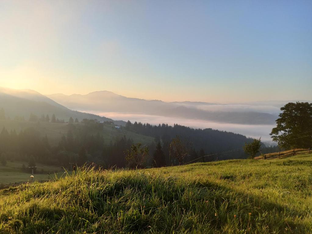 ヴェルホヴィナにあるVershyna Goryの霧の谷を望む草の丘