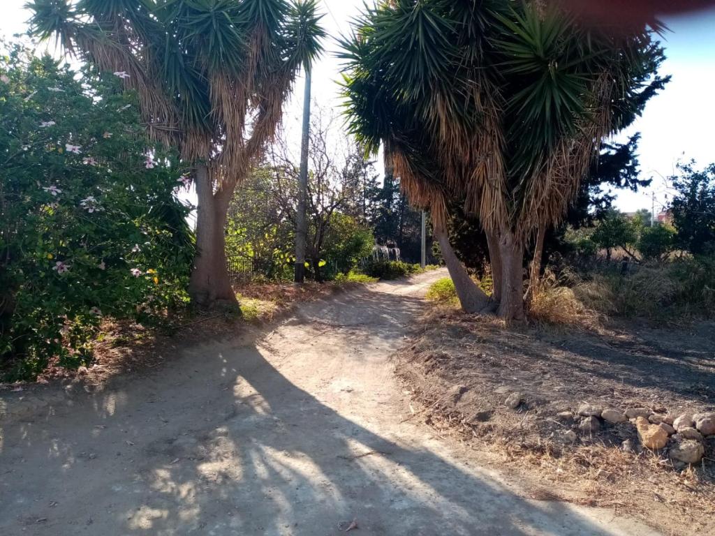 Fotografia z galérie ubytovania La Villa di Minerva v destinácii Agrigento