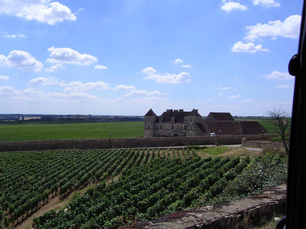 Fotografie z fotogalerie ubytování Hotel l'Orée Des Vignes v destinaci Gilly-lès-Cîteaux