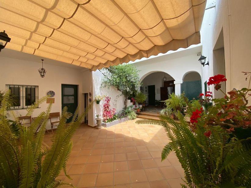 a courtyard of a house with plants and a roof at Apartamentos El Arco in Conil de la Frontera