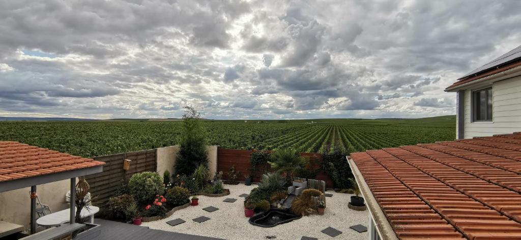 a backyard with a view of a field of plants at Au Bouchon Champenois in Bouzy
