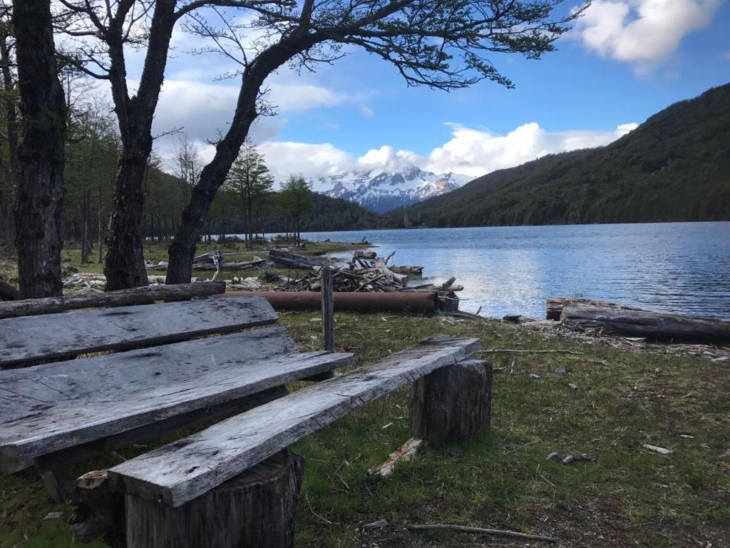 a wooden bench sitting next to a lake at Cabaña Lago Largo in Coihaique