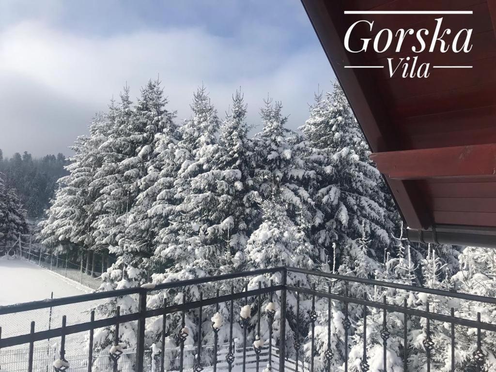 Gorska Vila Lokvarsko jezero v zimě