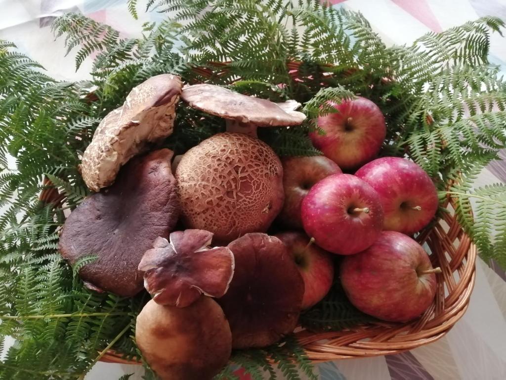 Jídlo v venkovského domu nebo okolí