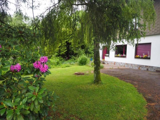 Ferienhaus-stadtkyll Beim Förster - Casa De Una Habitación