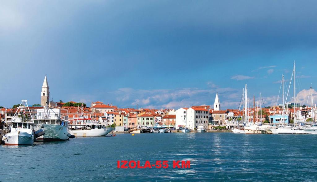 Příroda nedaleko penzionu