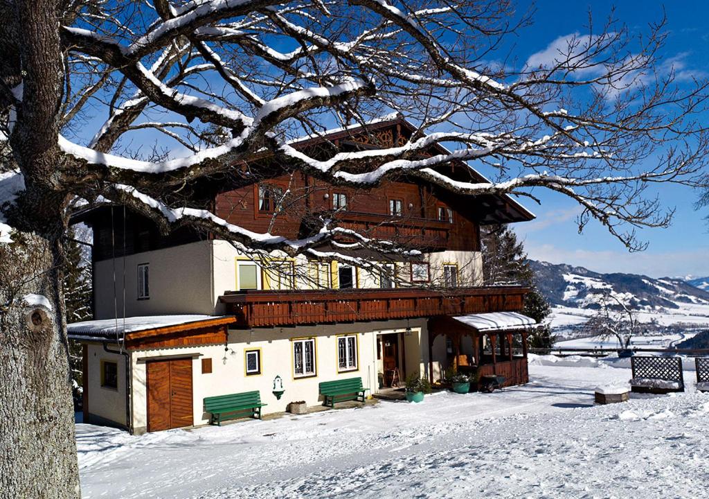 Příroda nedaleko apartmánu