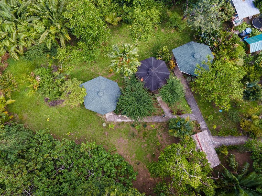una vista sul giardino con ombrelloni di Bungalows Aché Cahuita a Cahuita
