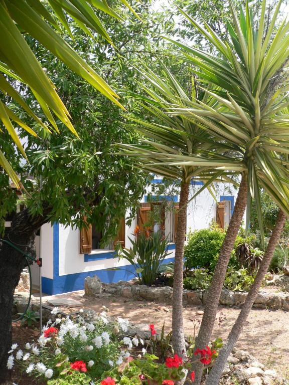 a garden with palm trees and flowers in front of a house at Hakuna matata in Benagil