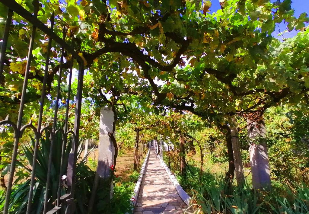 un camino a través de un jardín con árboles y plantas en Morin Grey casa en el corazón de la Ribeira Sacra, en Monforte de Lemos