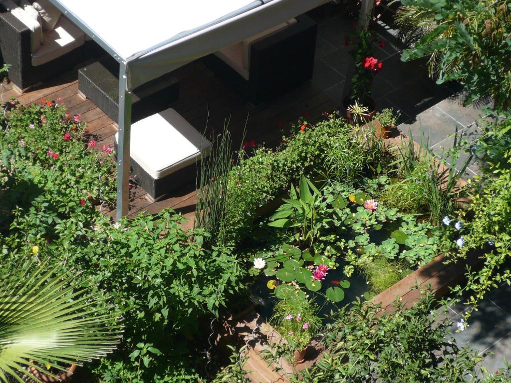 Hotel des Arceaux - Resim 29