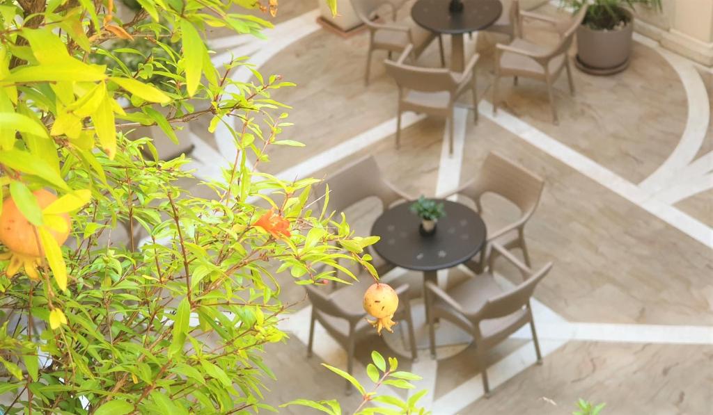 Hotel Colomba d'Oro - Resim 36