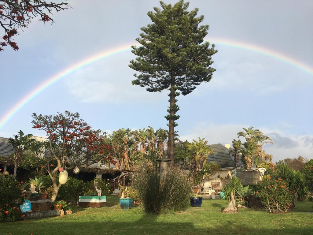 a rainbow in the sky over a yard with a tree at Amor Da Vida in Port Elizabeth