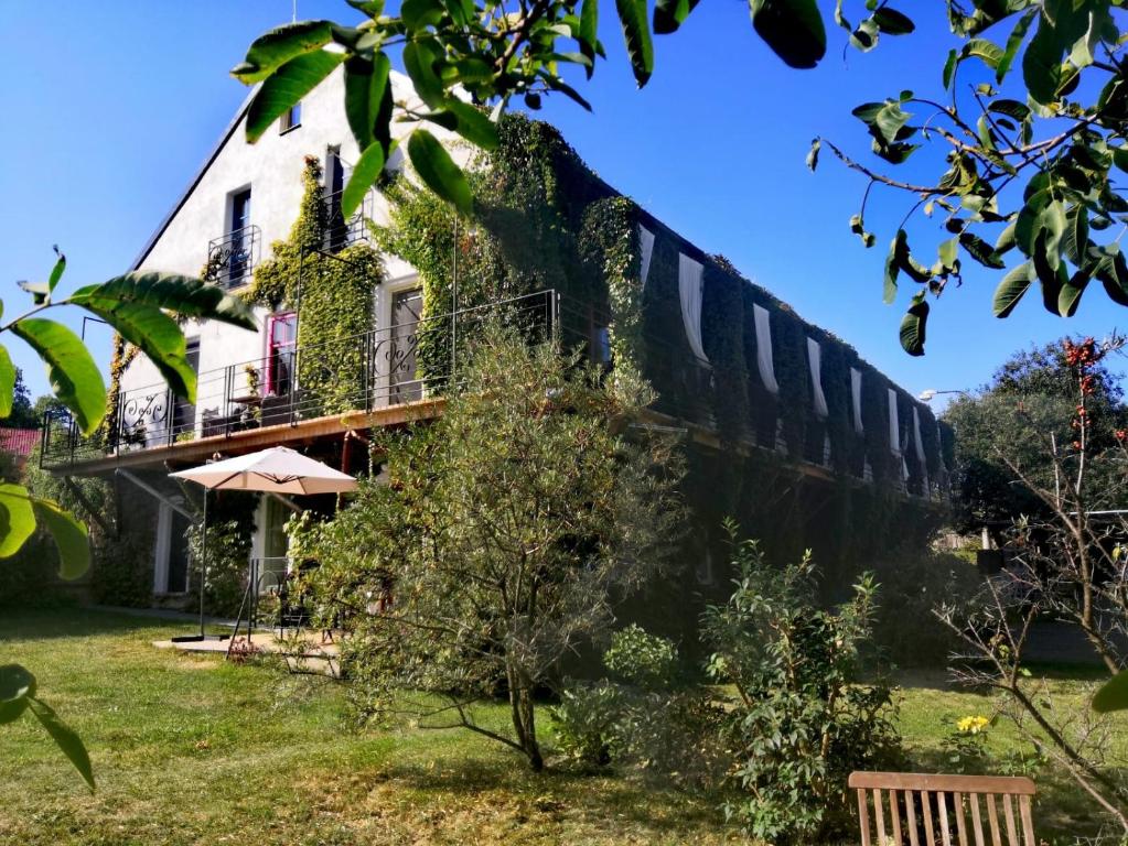 Zahrada ubytování Apartmány Ruprechtov