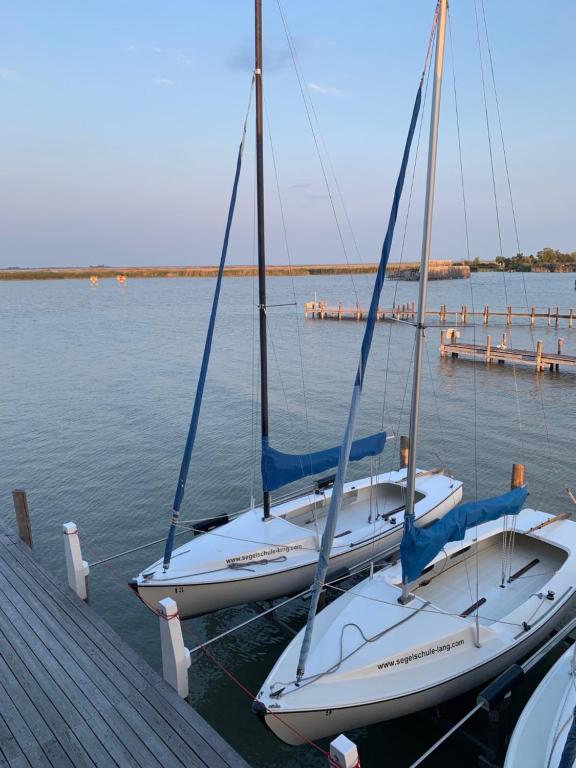 two boats are docked at a dock in the water at Seehütte Neusiedlersee inklusive Boot in Rust