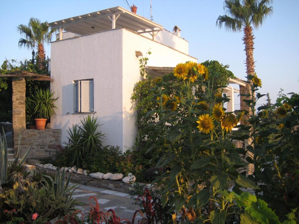Zahrada ubytování Paros Apartments