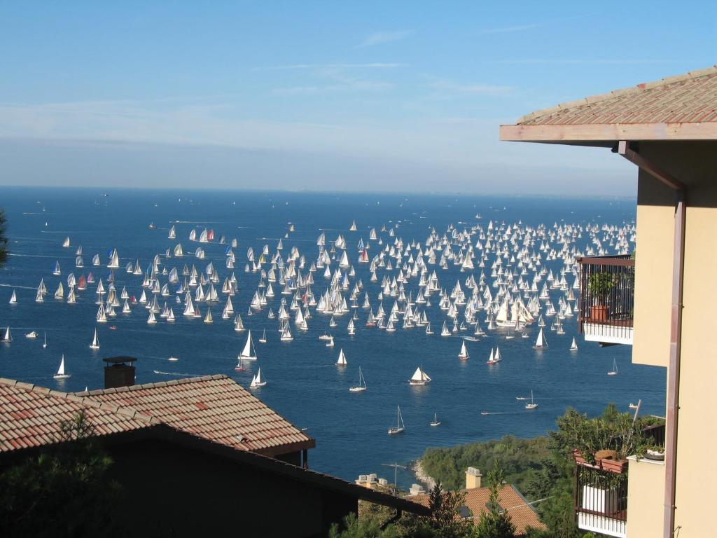 un gran grupo de veleros en el agua en Affitto Turistico Via Bonomea 219-1, en Trieste