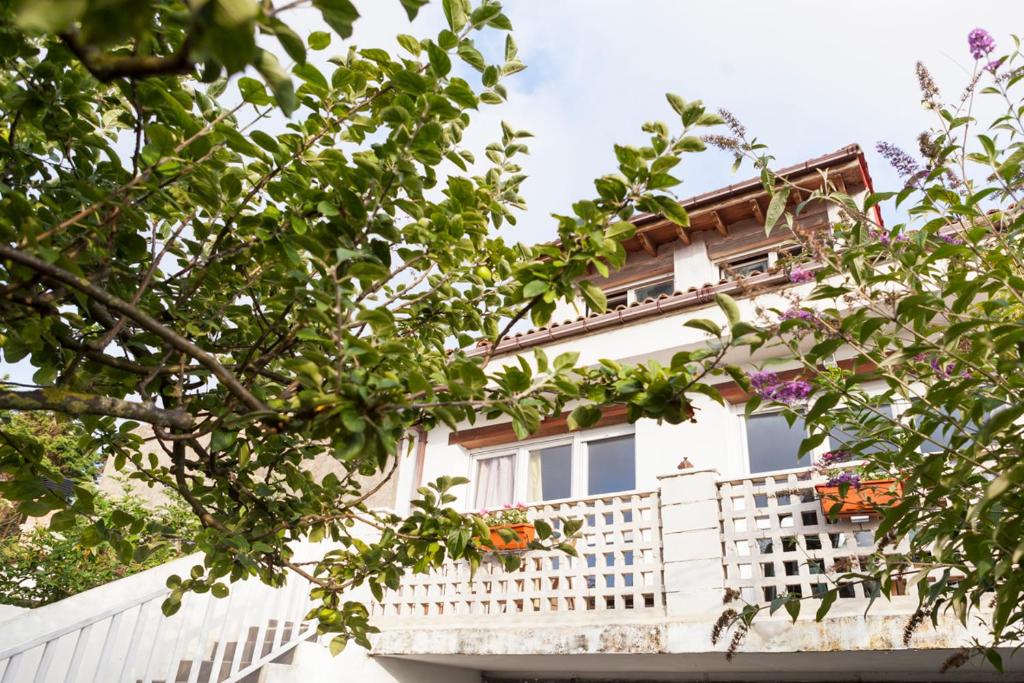 ein weißes Haus mit einem weißen Zaun und Bäumen in der Unterkunft Habitaciones Estrella del Norte in Santander