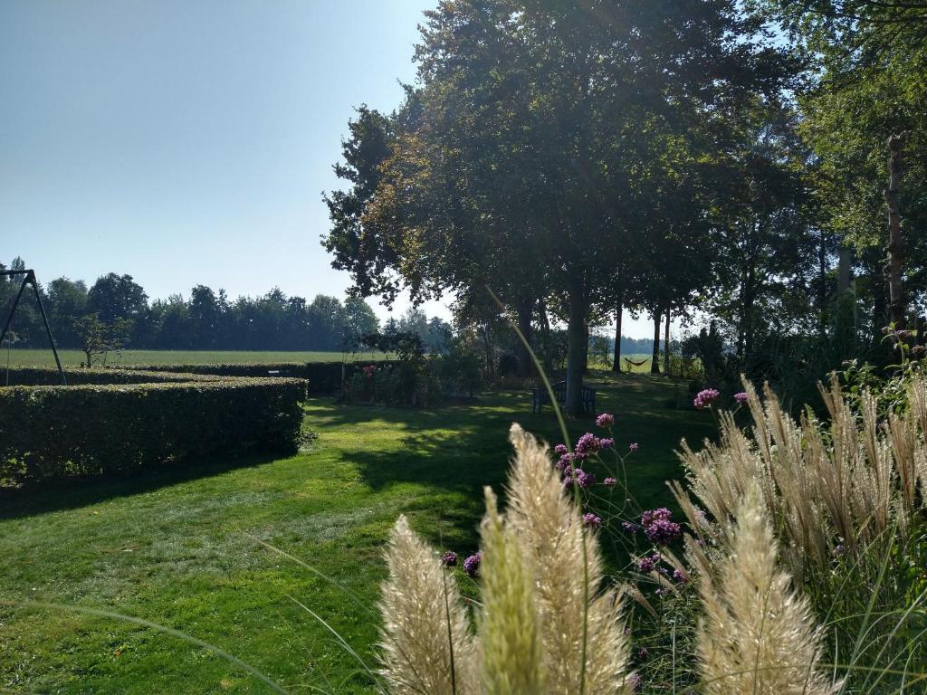 Een tuin van B&B-Hotel de Joremeinshoeve