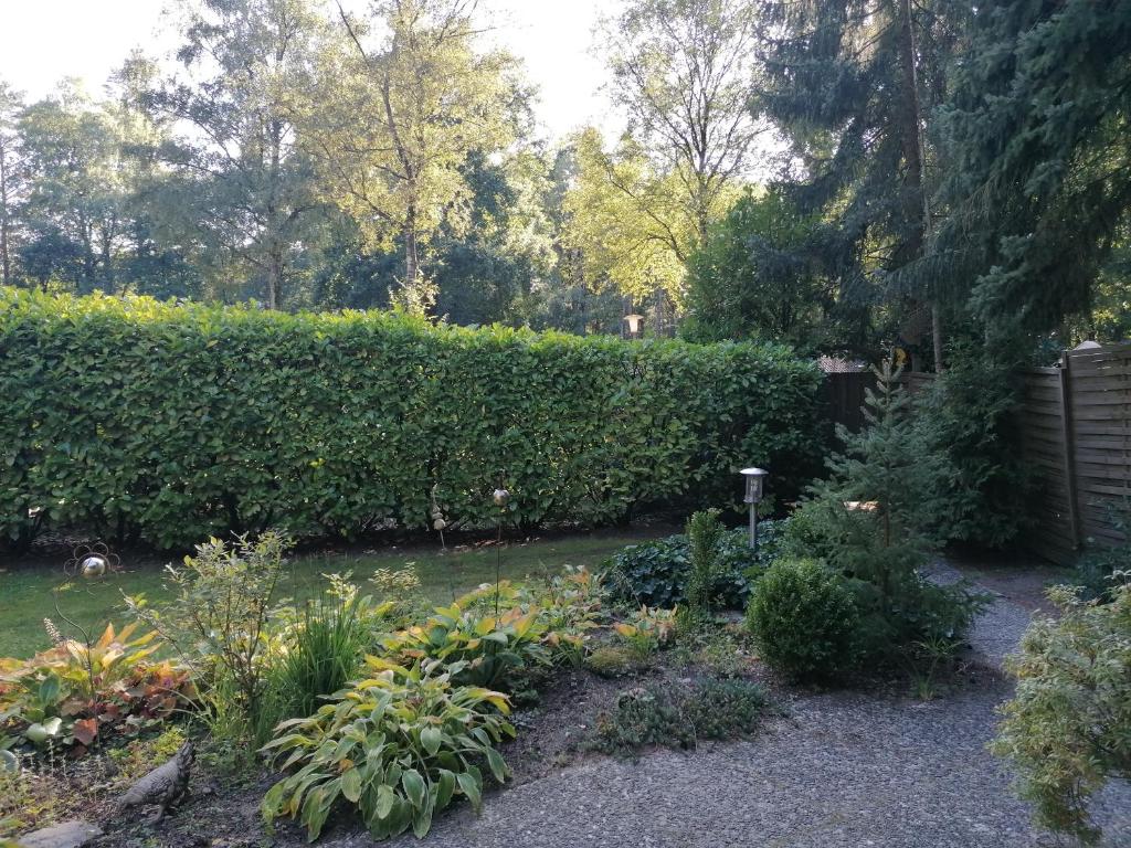 Zahrada ubytování Ferienhaus Fasanennest