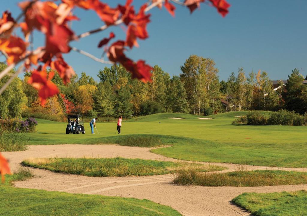 Golf v rezortu nebo okolí