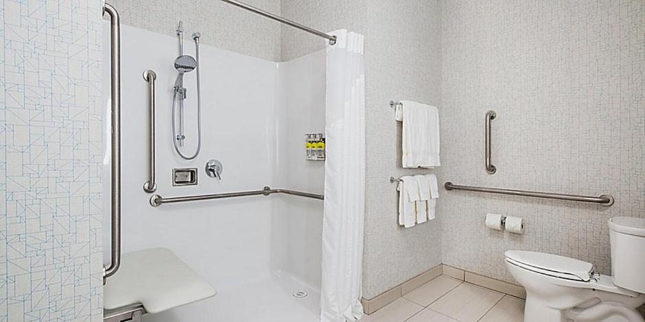 Koupelna v ubytování Holiday Inn Express & Suites - Brandon by IHG
