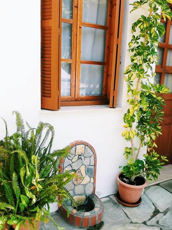 Zahrada ubytování Melia studio 2 seafront apartment