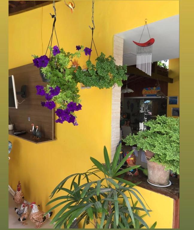  Pousada Som dos Pássaros