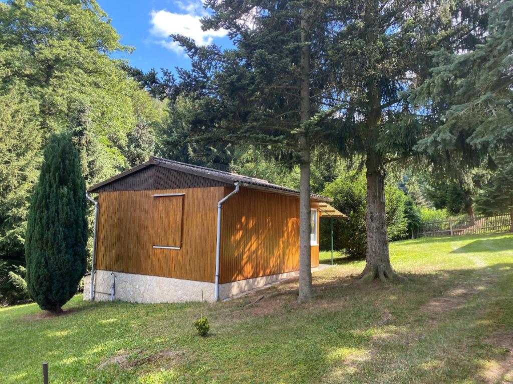 a wooden shed with a door in a yard at Waldfrieden Bungalow in Garnsdorf