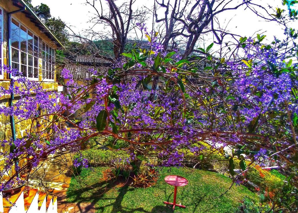  Suites Flor- Hilda