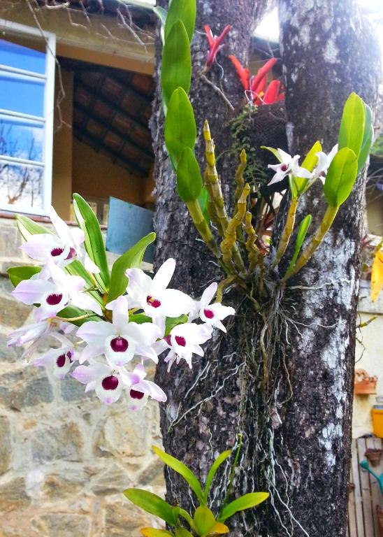  Suites Flor- Hilda