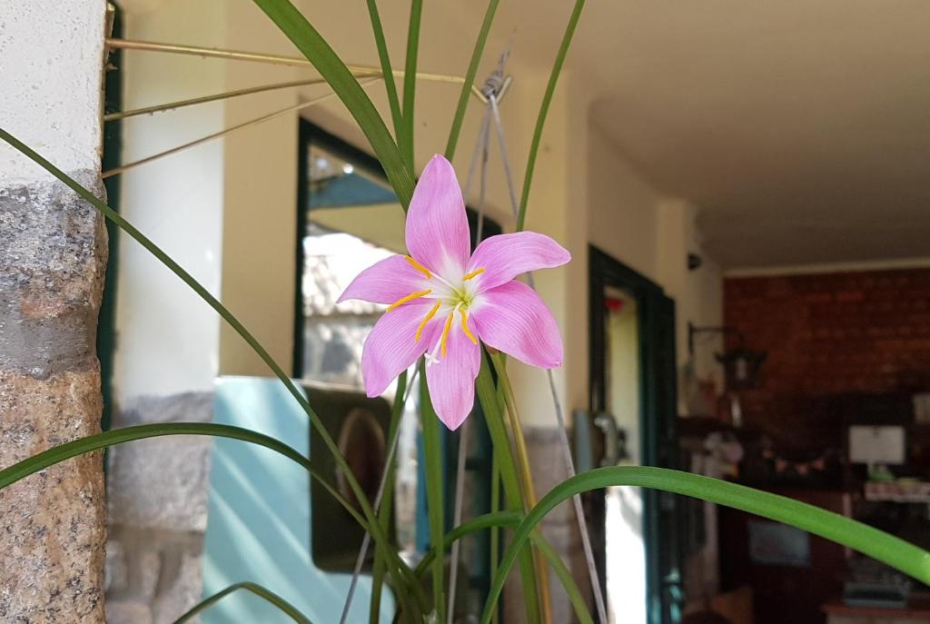 Suites Flor- Hilda
