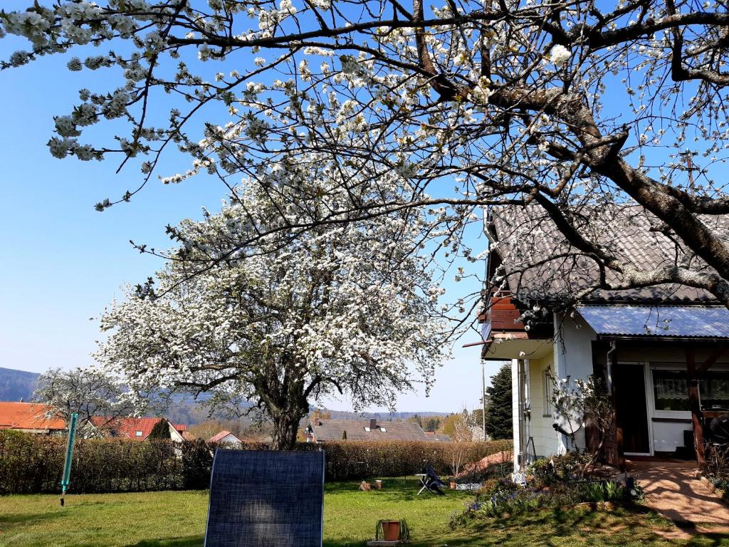 Zahrada ubytování Albblick
