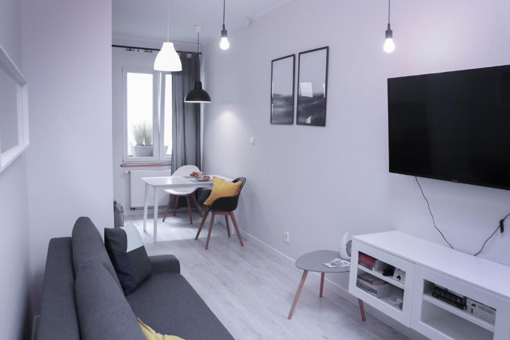 a living room with a couch and a tv at Apartamenty Długa 6 in Bydgoszcz