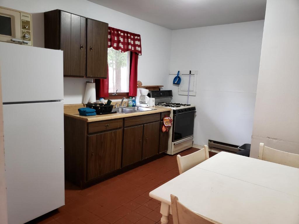 Kuchyň nebo kuchyňský kout v ubytování Steffen's Cedar Lodge