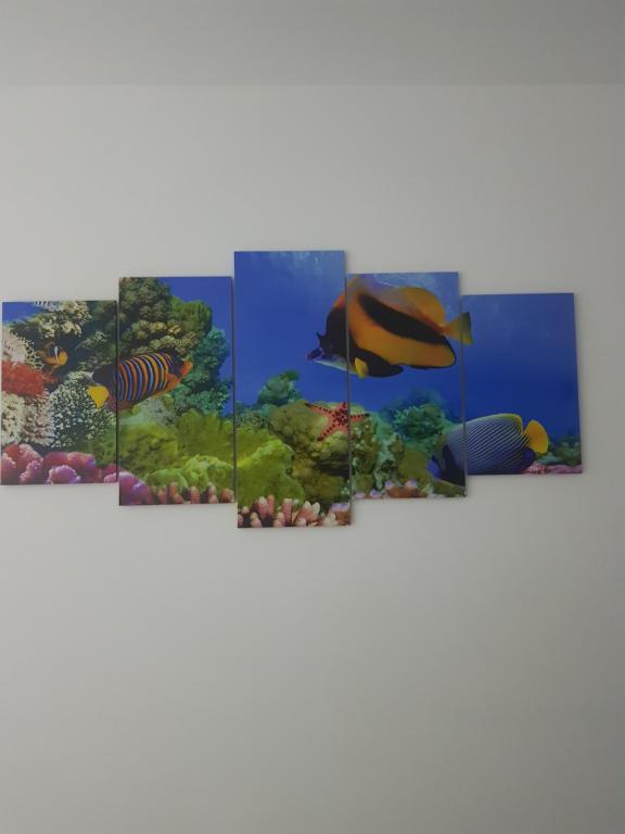  A melhor área de laser de Porto de Galinhas no Muro Alto Condomínio clube!