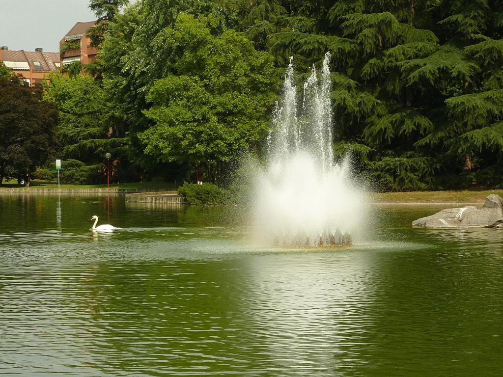 una fontana nel mezzo di uno stagno con un cigno di Maison da Paola a Basiglio
