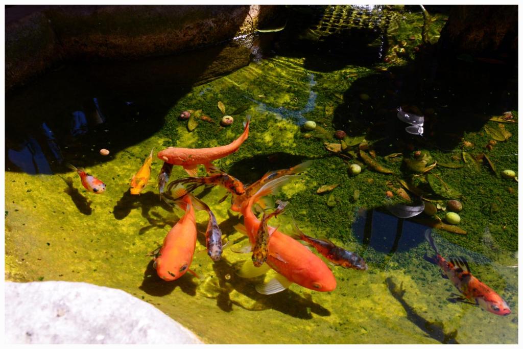 Derechos de imagen reservados por Booking.com