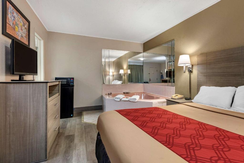 Econo Lodge Dewitt I-90 - Room King Superior - No Fumadores