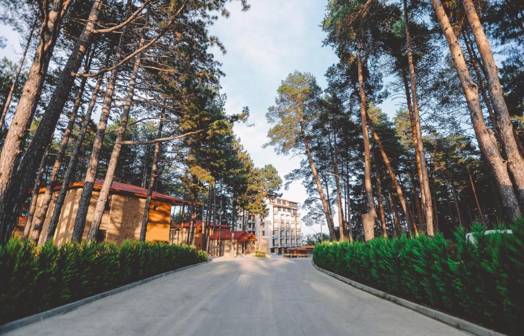Fotografie z fotogalerie ubytování Zuzumbo Resort & Spa v destinaci Telavi