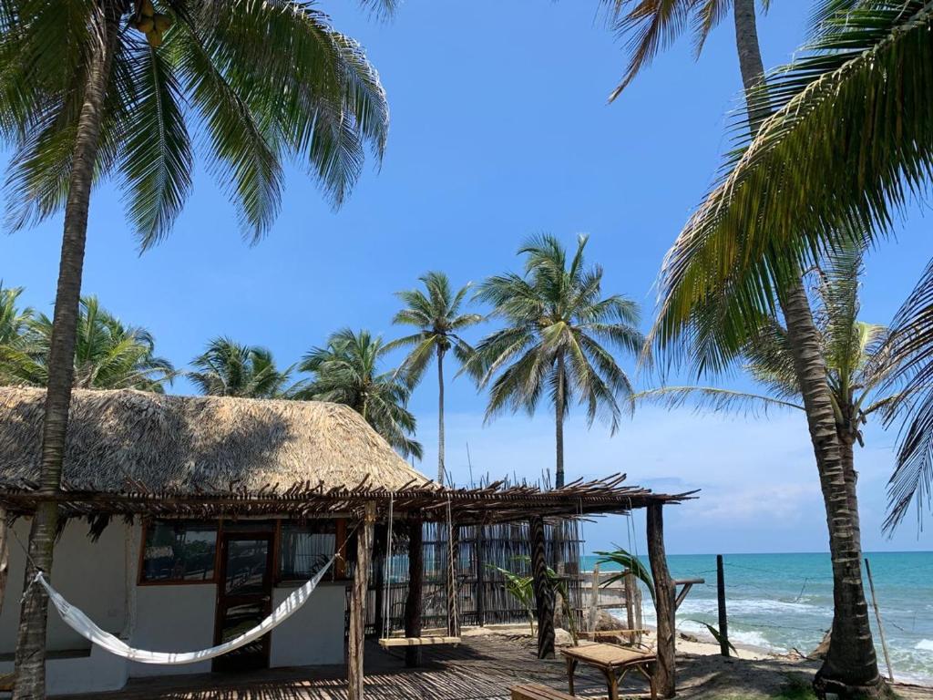 a hut on the beach with palm trees and the ocean at Casa Coraje in Palomino