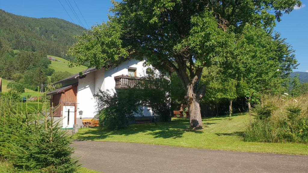 Příroda nedaleko apartmánu